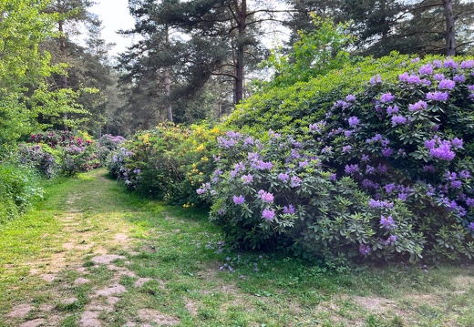 23-06-03 16-44-12 5794